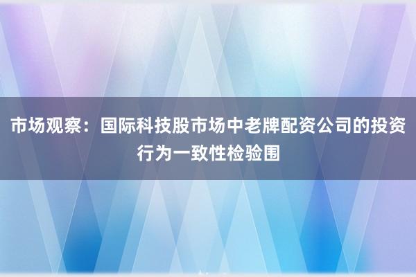 市场观察：国际科技股市场中老牌配资公司的投资行为一致性检验围